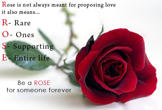 Rose Day Images Download